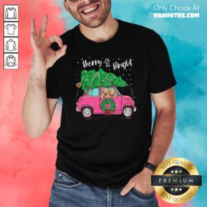 Nice Merry And Bright Pitbull Dog Ugly Christmas Shirt - Design by handstee.com