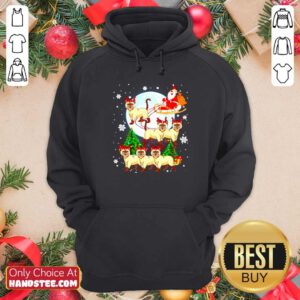 Nice Santa Claus riding Siamese Reindeer Merry Christmas Hoodie- Design by handstee.com