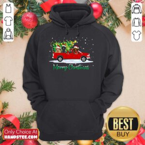 Poodle Red Car Truck Christmas Tree Funny Santa Xmas Dog Hoodie- Design By Handstee.com