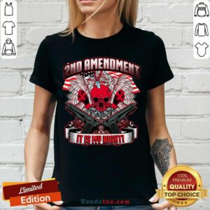 Original 2nd Amendment It’s My Right V-neck - Design by handstee.com