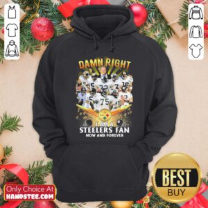 Damn Right I Am A Pittsburgh Steelers Fan Now And Forever Hoodie- Design By Handstee.com