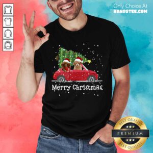 Poodle Red Car Truck Christmas Tree Santa Xmas Dog - Merry Christmas Poodle Dog Shirt- Design By Handstee.com