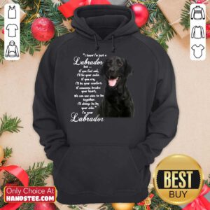 I Know I’m Just A Labrador But If You Feel Sad I’ll Be Your Smile Hoodie- Design By Handstee.com