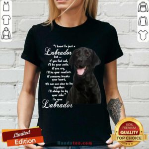 I Know I’m Just A Labrador But If You Feel Sad I’ll Be Your Smile V-neck- Design By Handstee.com