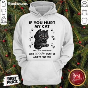 If You Hurt My Cat I Will Slap You So Hard Even Google Won’t Be Able To Find You Hoodie- Design By Handstee.com