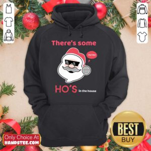 There's Some Ho's In The House Hoodie- Design By Handstee.com