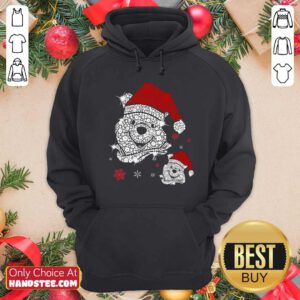 Awesome Bear Diamond Santa Hoodie - Design by Handstee.com