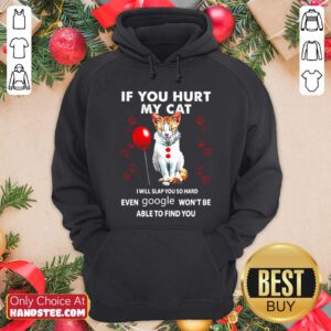 Cat If You Hurt My Cat I Will Slap You So Hard Even Google Wont Be Able To Find You Hoodie - Design by handstee.com