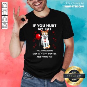 Cat If You Hurt My Cat I Will Slap You So Hard Even Google Wont Be Able To Find You Shirt - Design by handstee.com