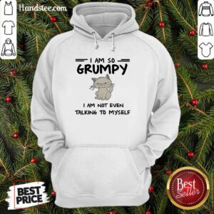 Cute 19 Cat I Am So Grumpy Hoodie - Design by Handstee.com
