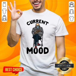Hurt Bernie Sanders Face Mask Current Mood 5 Shirt
