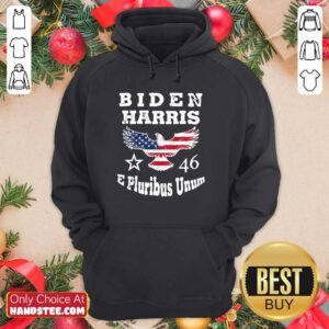 Nice Biden Harris E Pluribus 2021 Hoodie - Design by Handstee.com