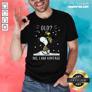 Nice Snoopy And Woodstock 44 Shirt - Design by Handstee.com