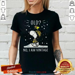 Nice Snoopy And Woodstock 44 V-neck - Design by Handstee.com