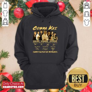 Official Cobra Kai Seasons 30 Episodes Hoodie - Design by Handstee.com