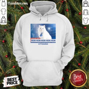 Premium Kittisaurus News Anchor CoCo Cat Hoodie - Design by handstee.com