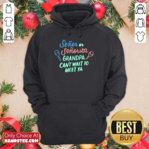 Overjoyed Grandpa To Be Gender Reveal 9 Hoodie - Design By Handstee.com
