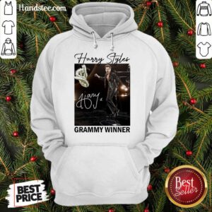 Super Amused Harry Styles Grammy Winner Hoodie - Design By Handstee.com