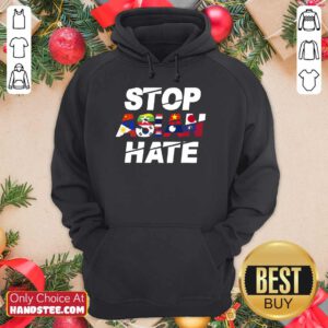Wonderful Stop Asian Hate Flag Terrific Hoodie