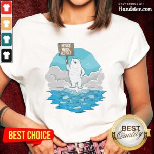 Delighted Reduce Reuse Recycle Earth Day Ladies Tee