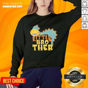 Excited Dinosaur Little Brother Sweater