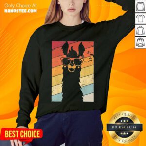 Excited Llama Wear Glasses Vintage Sweater
