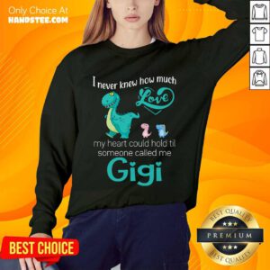 Terrific Saurus I Never Knew How Much Love Gigi Sweater