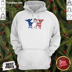 Chihuahua American Independence Day Hoodie