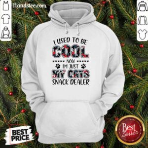 Cool My Cats Snack Dealer Hoodie