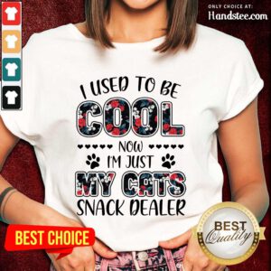 Cool My Cats Snack Dealer Ladies Tee