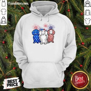 Dachshund American Flag Firework Hoodie