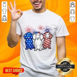 Dachshund American Flag Firework Shirt