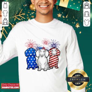 Dachshund American Flag Firework Sweater