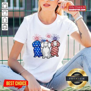 Dachshund American Flag Firework V-neck