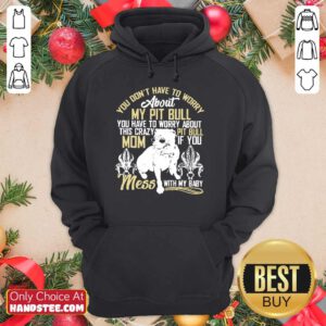 Don't Mess With My Pitbull Hoodie