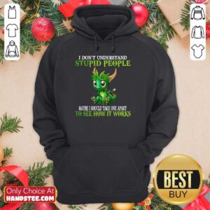 Dragon I Don't Understand Stupid People Hoodie