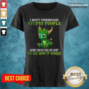 Dragon I Don't Understand Stupid People Ladies Tee