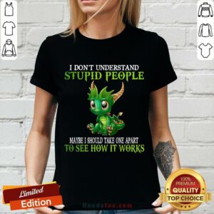 Dragon I Don't Understand Stupid People V-neck