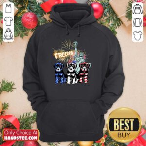 Freedom Rottweilers Statue Of Liberty USA Flag Hoodie