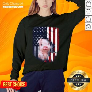 Pig American Flag Sweater