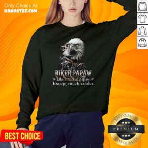 Biker Pawpaw Much Cooler Eagle Sweater