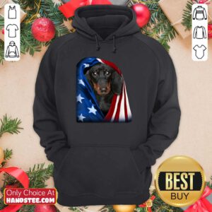 Dachshund Wrapped In American Flag Hoodie