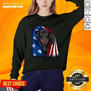Dachshund Wrapped In American Flag Sweater
