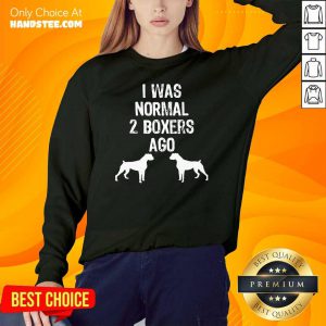 I Was Normal 2 Boxers Ago Dog Sweater