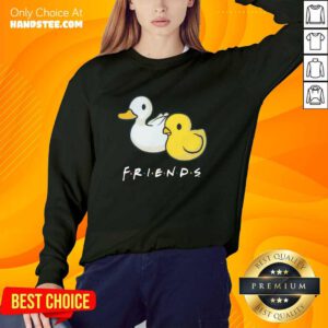 Chick and Duck Friends sweater