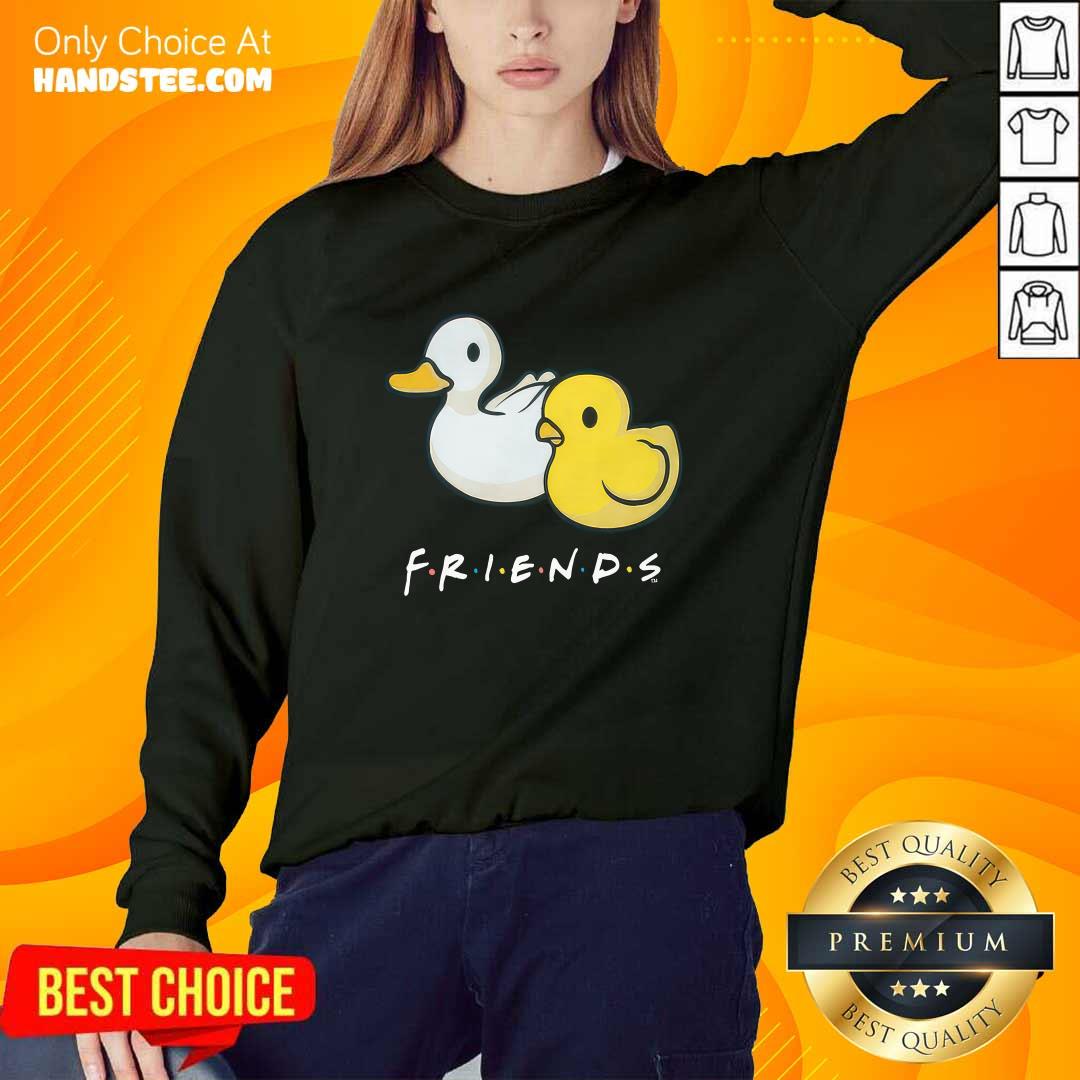 Chick and Duck Friends sweater