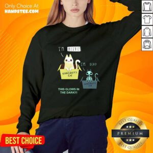 Awesome Cat I'm Alive And I'm Dead This Glows In The Dark Sweater