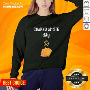Awesome AB84 Craker Of The Day Sweater