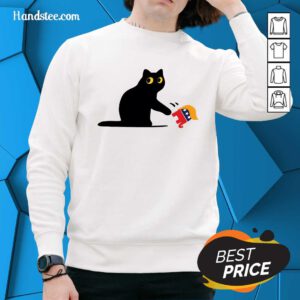 Awesome Cute Black Cat Ladies For Kamala Funny Election 2024 Sweater
