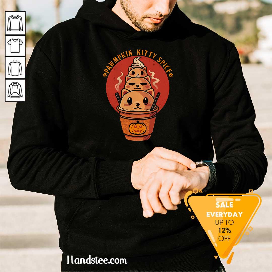 Nice Cute Pawmpkin Kitty Spice Halloween Cat Hoodie